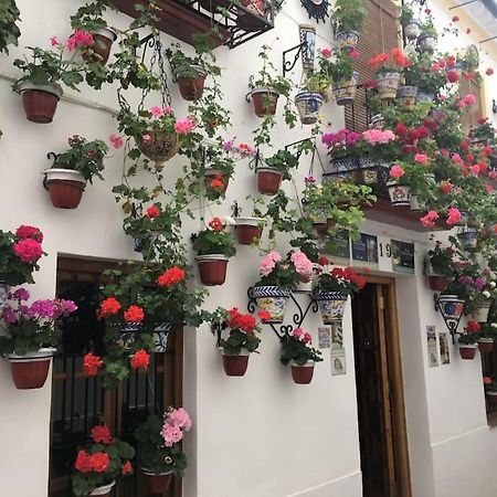 Apartamento El Rincon De La Verdad Córdoba Eksteriør billede