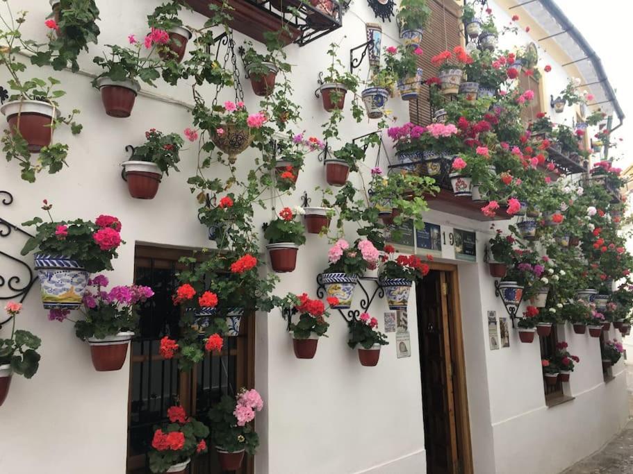 Apartamento El Rincon De La Verdad Córdoba Eksteriør billede