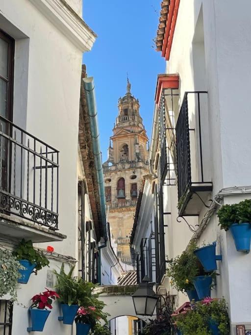 Apartamento El Rincon De La Verdad Córdoba Eksteriør billede